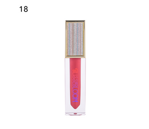 Blissebloom high pigment moisture Lipgloss Blissebloom