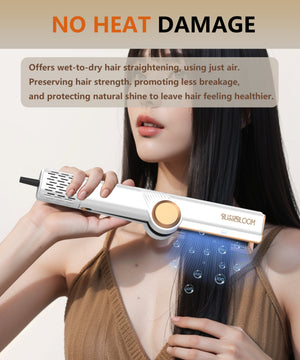 Blissebloom High-Speed Hair Straightener & Dryer (2-in-1) Blissebloom