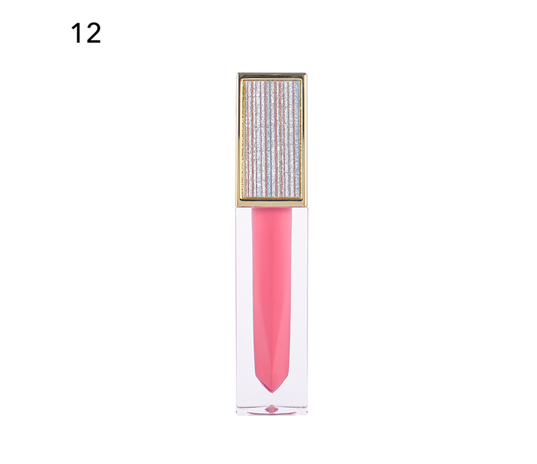Blissebloom high pigment moisture Lipgloss Blissebloom