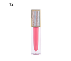 Blissebloom high pigment moisture Lipgloss Blissebloom