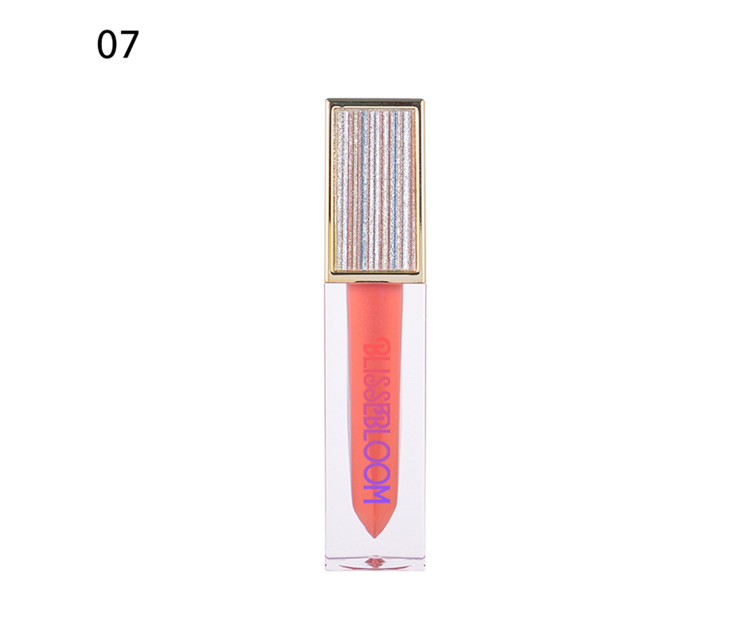 Blissebloom high pigment moisture Lipgloss Blissebloom