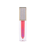 Blissebloom high pigment moisture Lipgloss Blissebloom