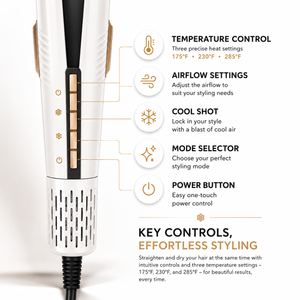 Blissebloom High-Speed Hair Straightener & Dryer (2-in-1) Blissebloom
