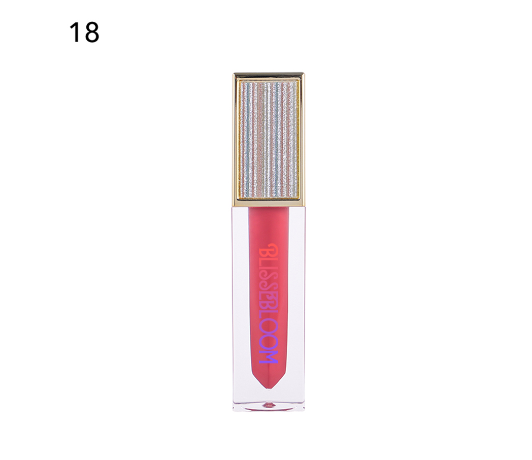 Blissebloom high pigment moisture Lipgloss Blissebloom