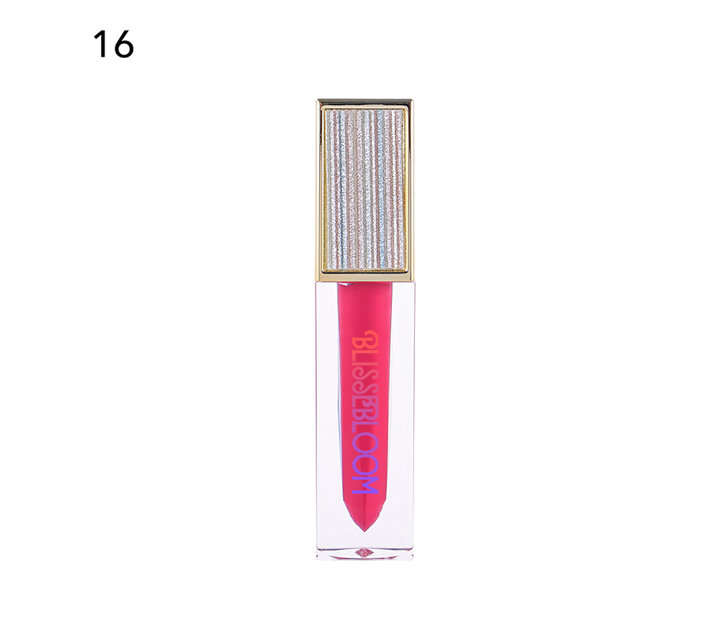 Blissebloom high pigment moisture Lipgloss Blissebloom