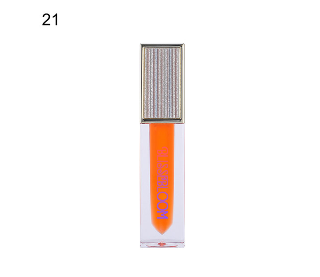 Blissebloom high pigment moisture Lipgloss Blissebloom