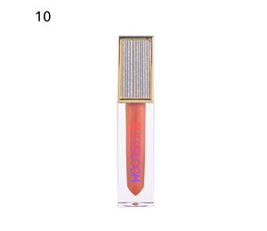 Blissebloom high pigment moisture Lipgloss Blissebloom